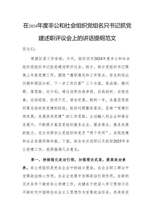 在2024非公和社会组织党组织书记抓党建述职评议会上的讲话提纲范文.docx