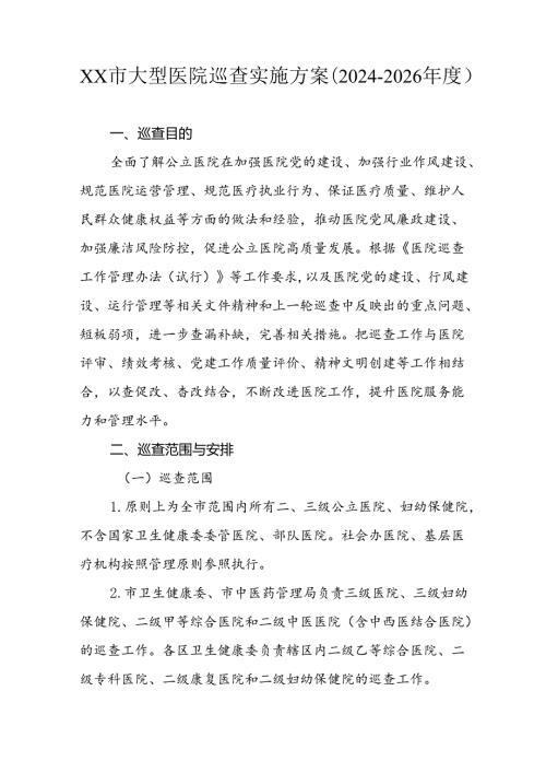 市级大型医院巡查实施方案（20242026年）.docx
