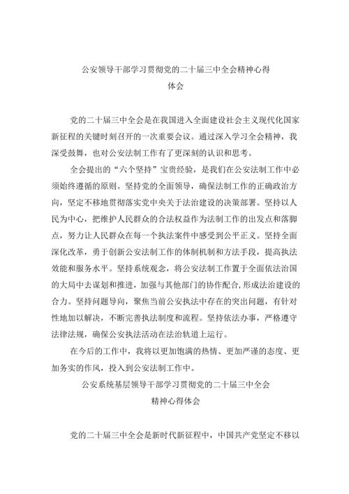 （11篇）公安领导干部学习贯彻党的二十三中全会精神心得体会汇编.docx