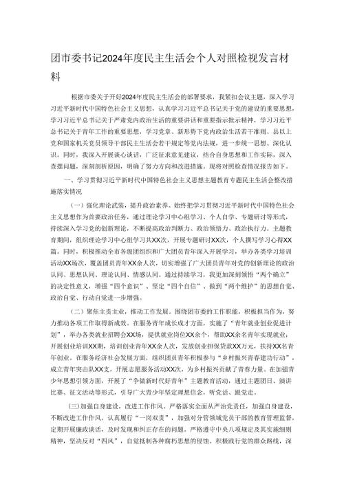 团市委书记2024民主生活会个人对照检视发言材料.docx