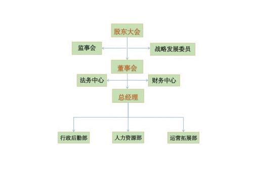 公司组织结构图.docx