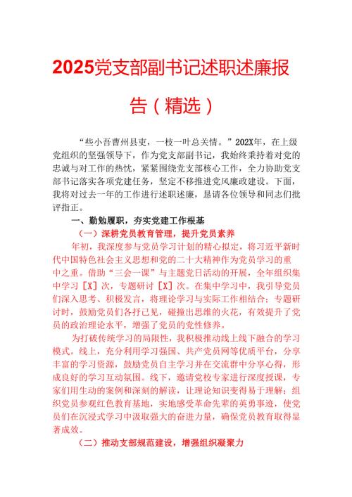 2025党支部副书记述职述廉报告（精选）.docx