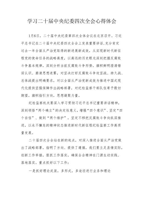 学习二十中央纪委四次全会心得体会 合计16份.docx