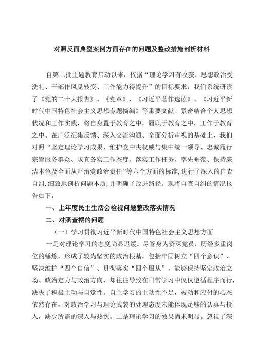 四篇 对照反面典型案例方面存在的问题及整改措施剖析材料优选.docx