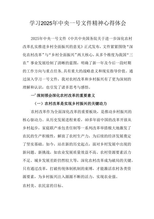 学习2025年中央一号文件精神个人心得体会 合计2份.docx