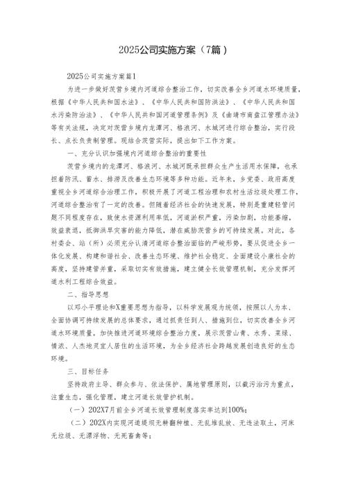2025公司实施方案（7篇）.docx