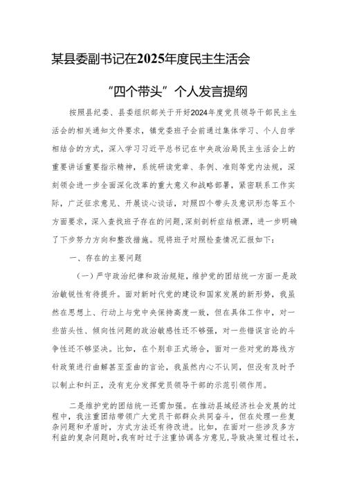某县委副书记在2025民主生活会“四个带头”个人发言提纲7.docx