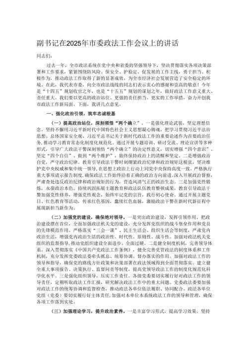 副书记在2025年市委政法工作会议上的讲话.docx