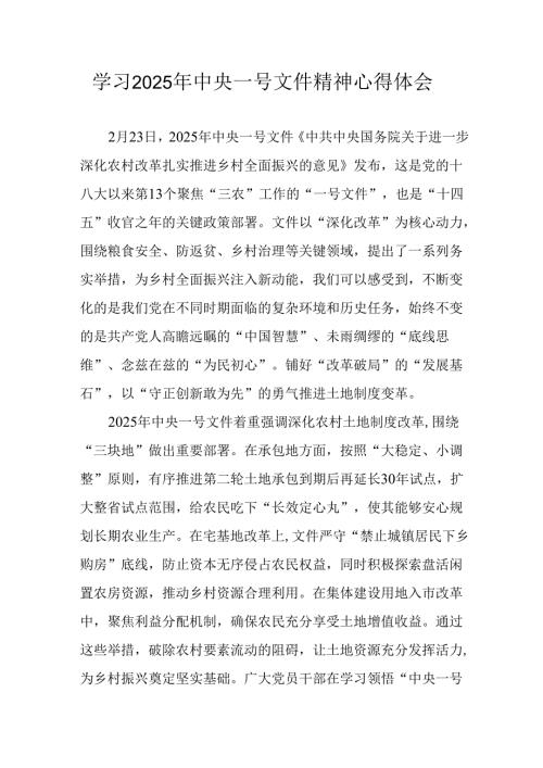 学习2025年中央一号文件精神个人心得体会 （汇编2份）.docx