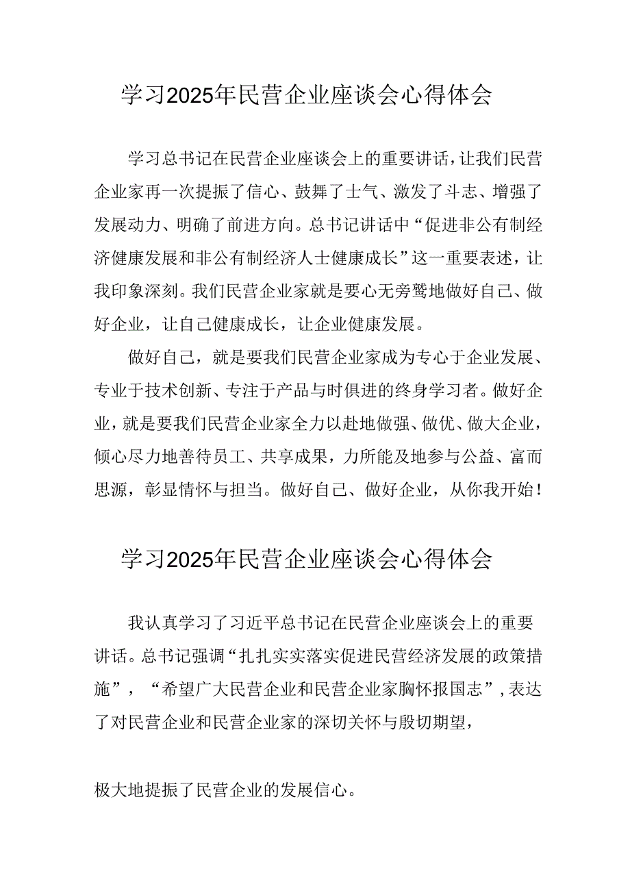 2025年私营企业学习《民营企业座谈会》个人心得体会 （汇编8份）.docx_第1页