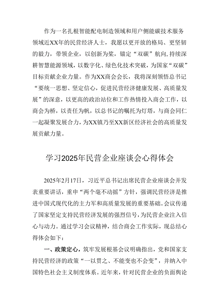 2025年私营企业学习《民营企业座谈会》个人心得体会 （汇编8份）.docx_第2页