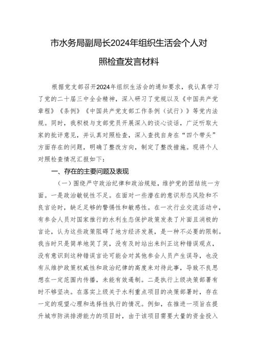 市水务局副局长2024年组织生活会个人对照检查发言材料(1).docx