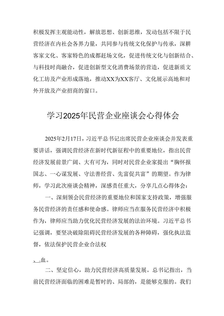 2025年私营企业学习民营企业座谈会个人心得体会 合计10份.docx_第2页
