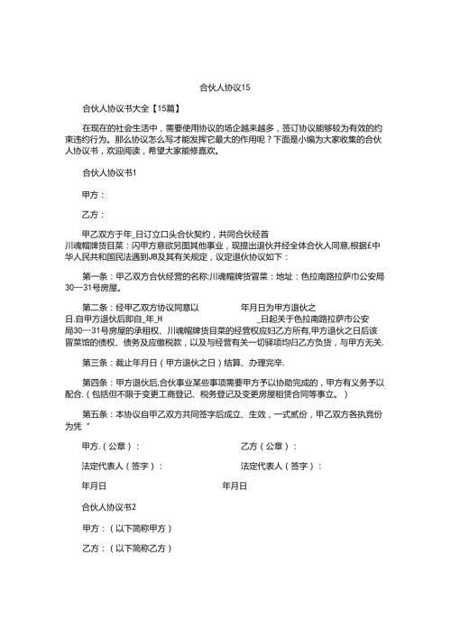 合伙人协议书.docx