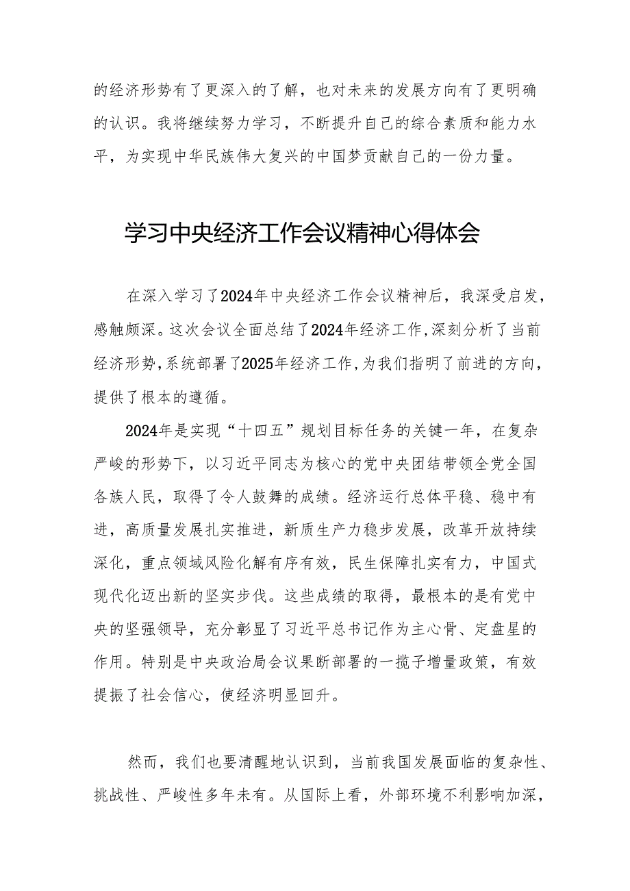 2024 年中央经济工作会议精神心得体会发言稿6篇.docx_第2页