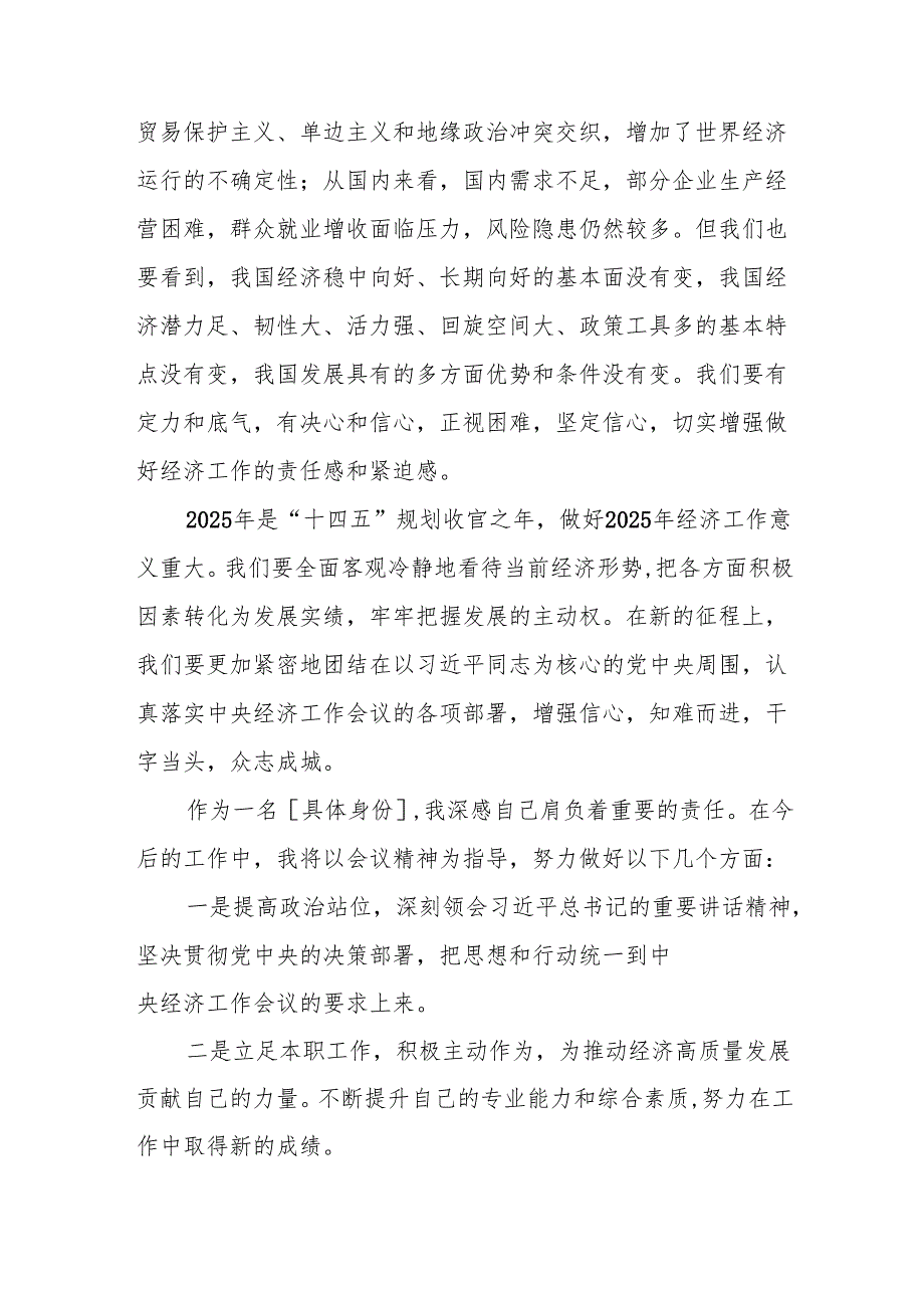 2024 年中央经济工作会议精神心得体会发言稿6篇.docx_第3页