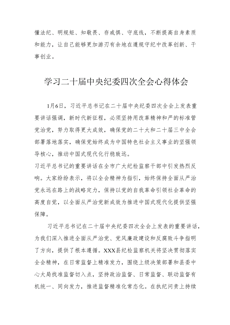 学习二十中央纪委四次全会个人心得体会 合计22份.docx_第2页
