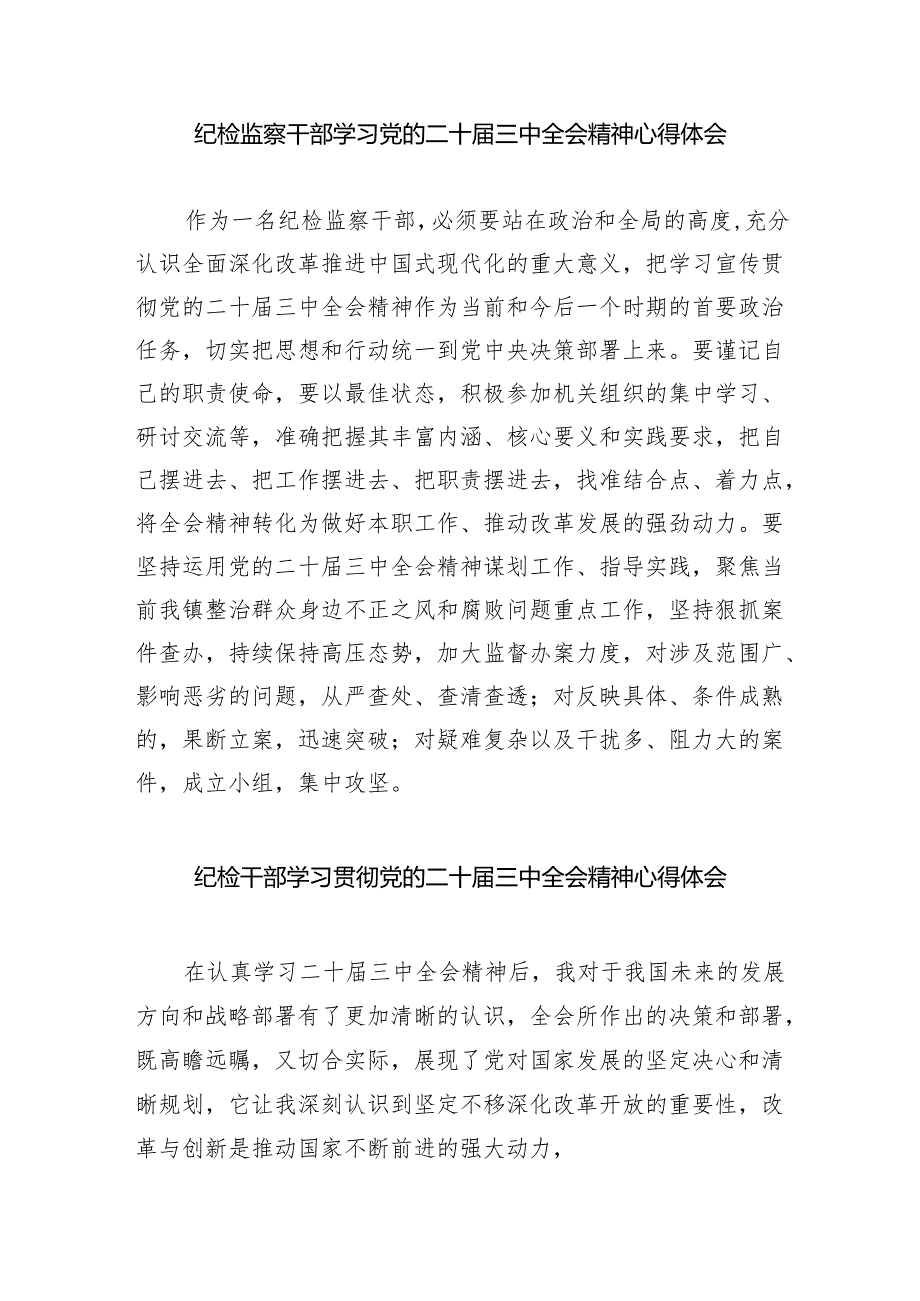 （9篇）纪检监察机关书记学习二十三中全会精神心得体会发言材料（最新版）.docx_第3页