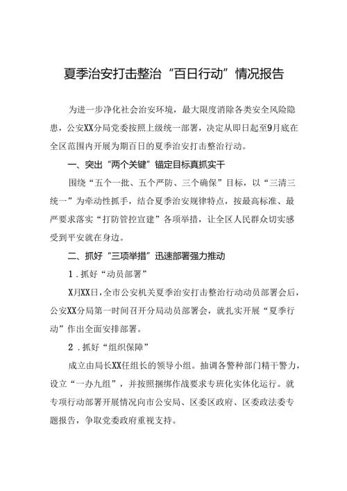 公安关于推进2024年夏季行动工作汇报(13篇).docx