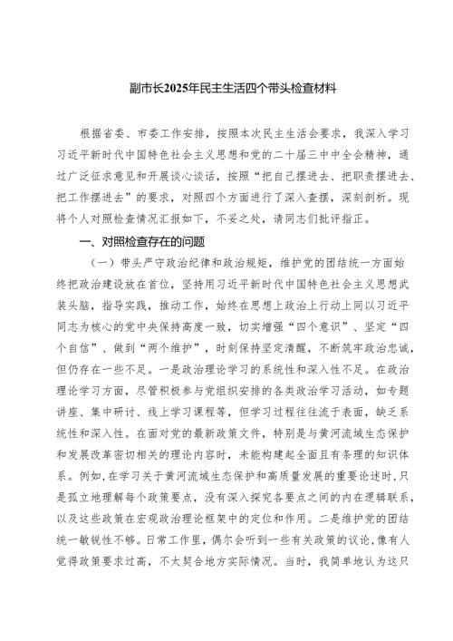 （9篇）副市长2025年民主生活四个带头检查材料最新.docx