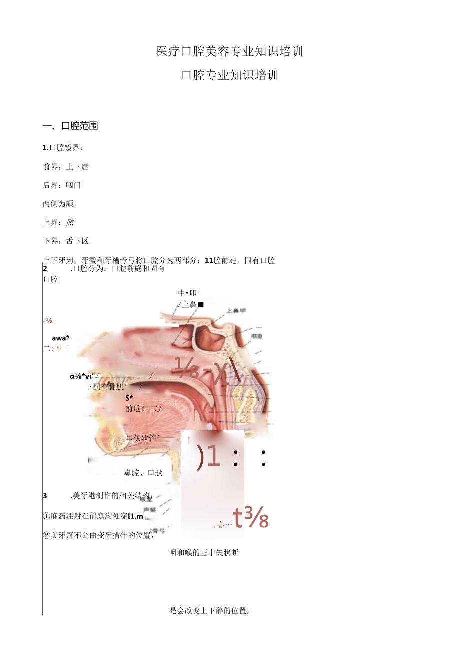 医疗口腔美容专业知识培训课件.docx_第1页