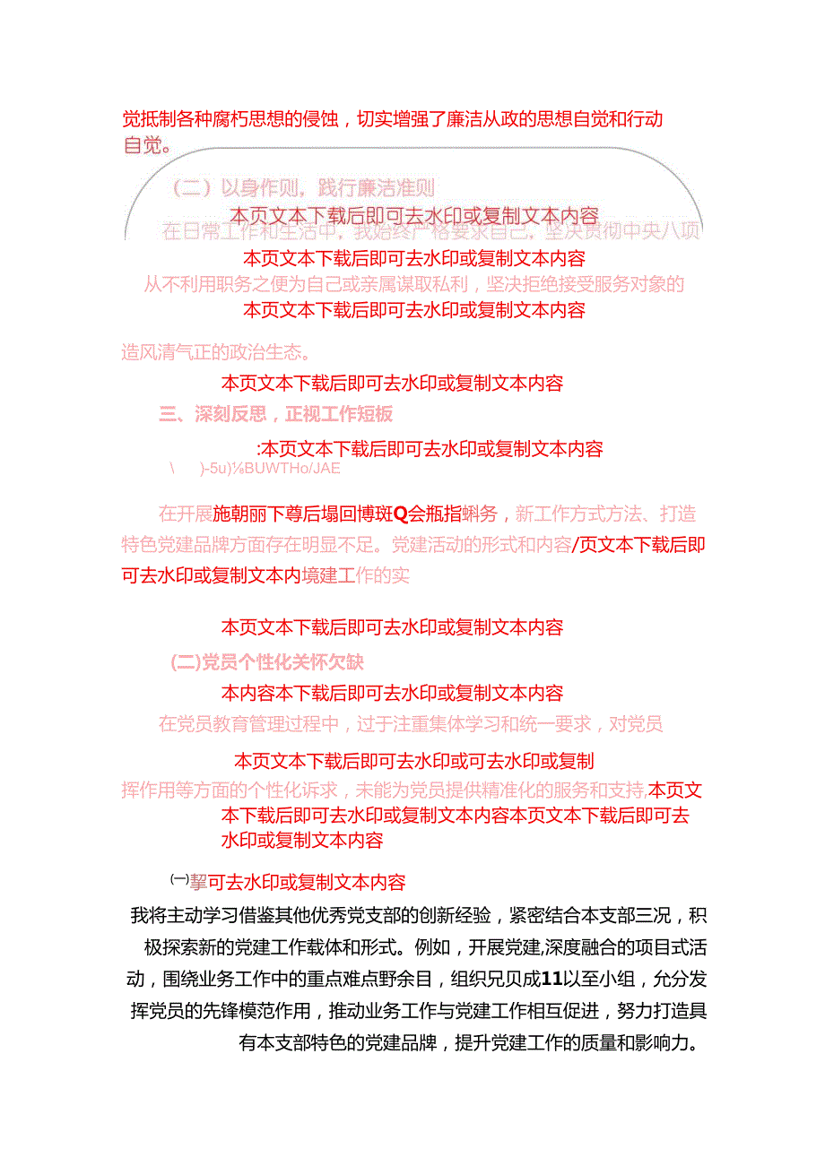 1.关于党支部副书记述职述廉报告（精选）.docx_第3页