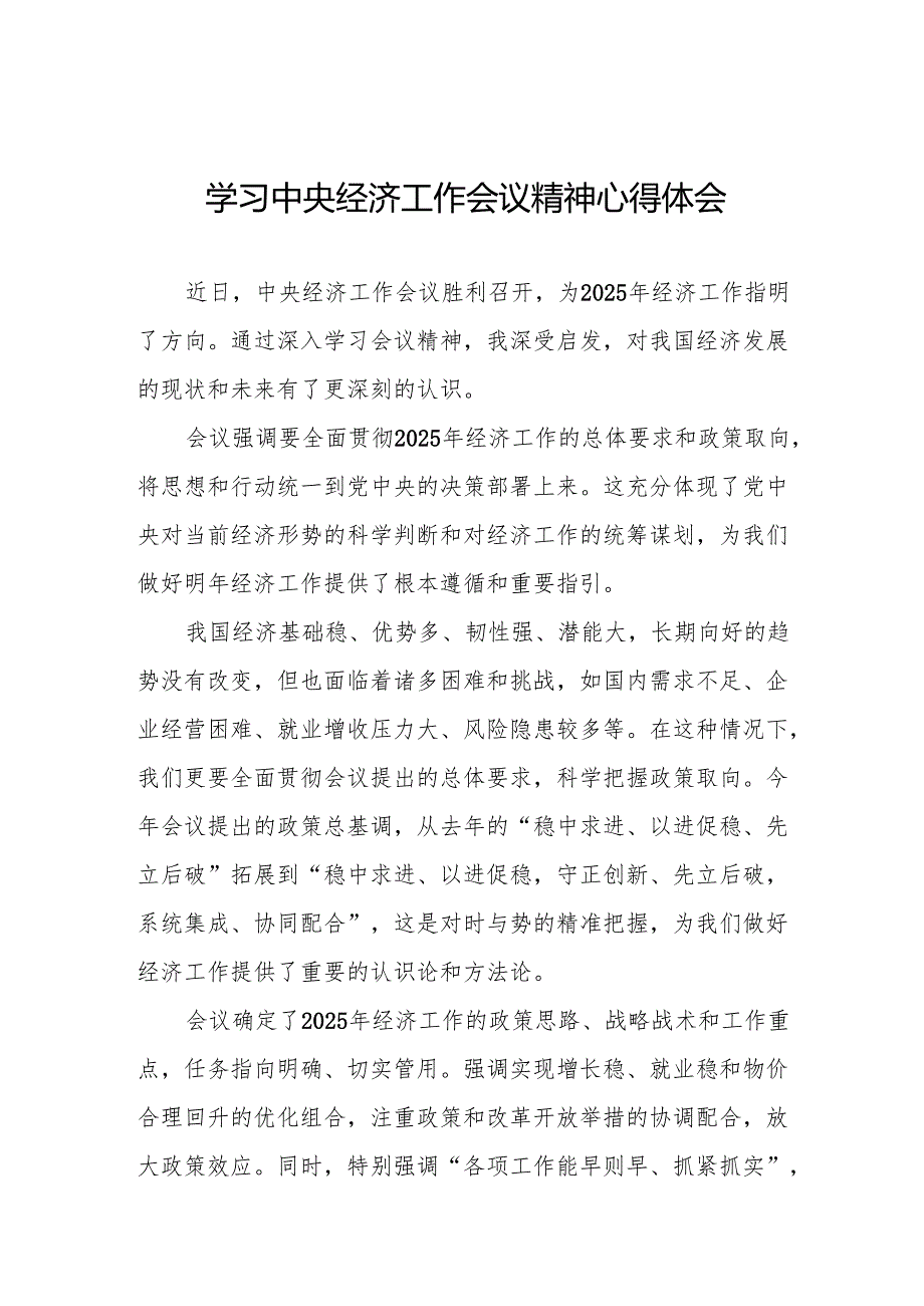 七篇学习贯彻2024年中央经济工作会议心得体会发言稿.docx_第1页