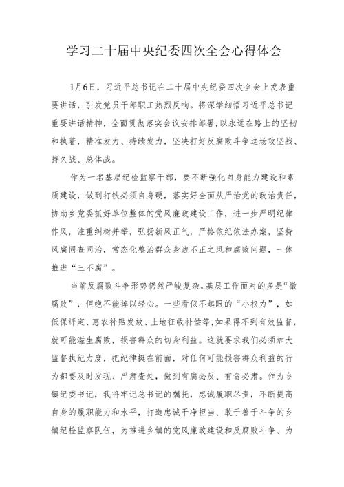 学习二十中央纪委四次全会心得体会 合计21份.docx