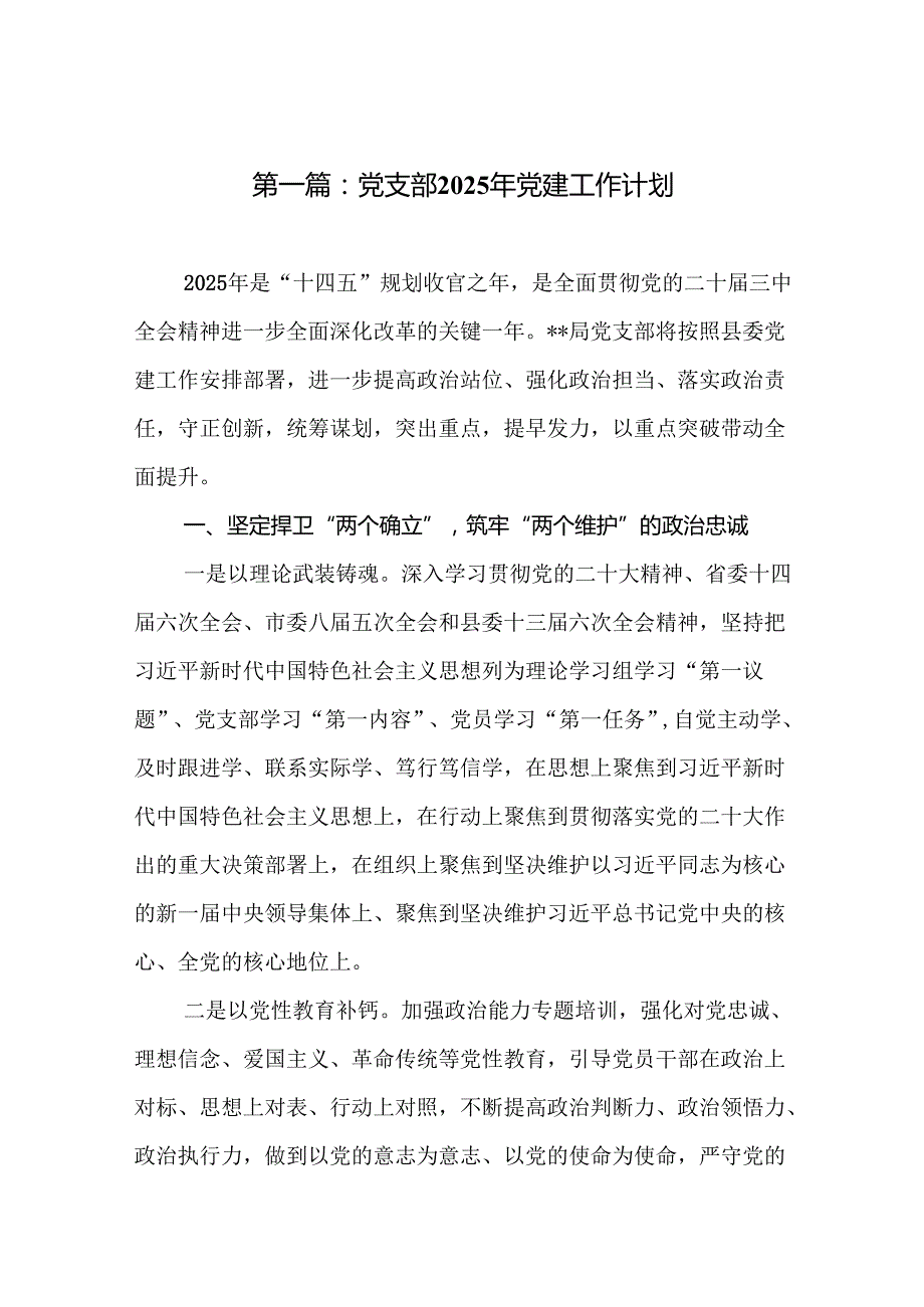 党支部2025年党建工作计划(精选13篇).docx_第2页