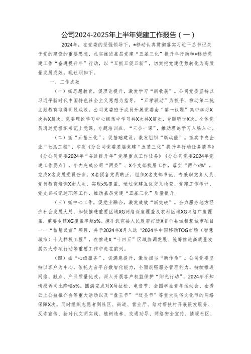 公司20242025年上半年党建工作报告（一）.docx