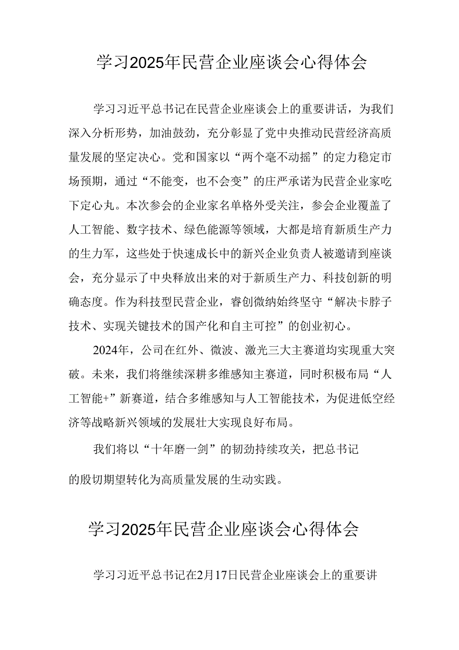 2025年私营企业学习《民营企业座谈会》个人心得体会 （汇编7份）.docx_第2页