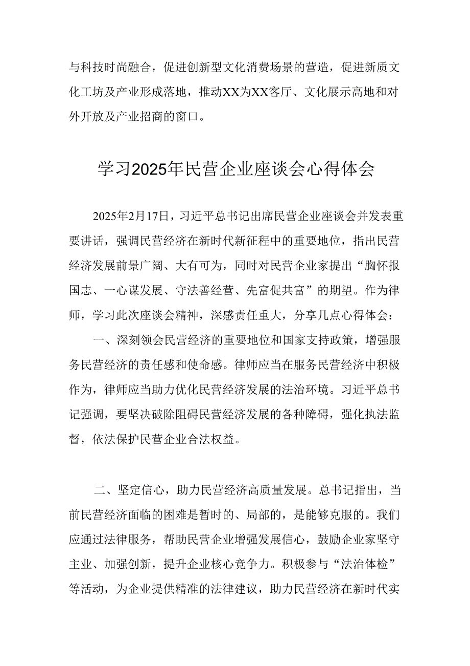 民营企业2025年学习《民营企业座谈会》个人心得感悟 （5份）65(1).docx_第3页