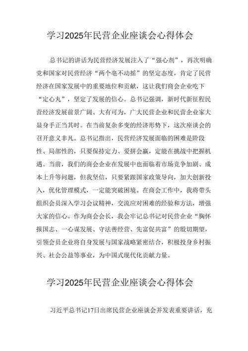 民营企业2025年学习《民营企业座谈会》个人心得感悟 （5份）65(1).docx