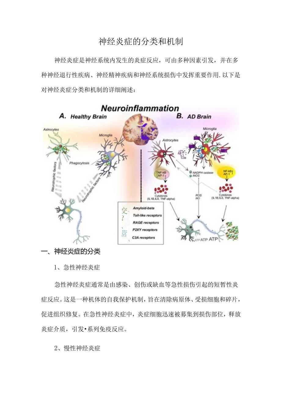 神经炎症的分类和机制.docx_第1页