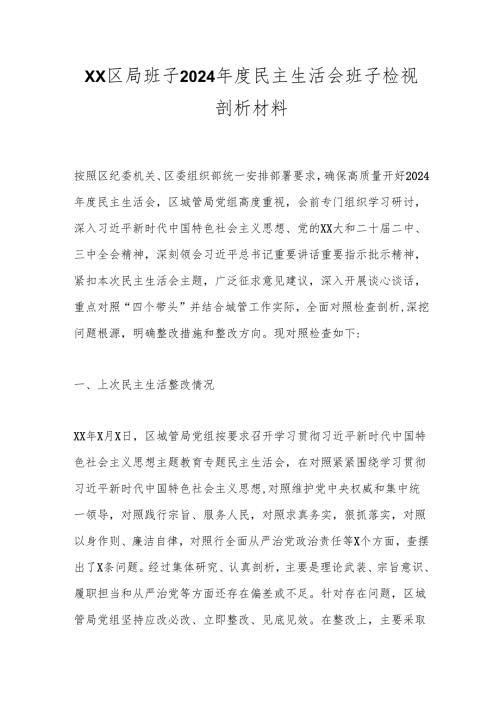 XX区局班子2024民主生活会班子检视剖析材料.docx