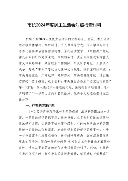 市长2024民主生活会对照检查材料2.docx
