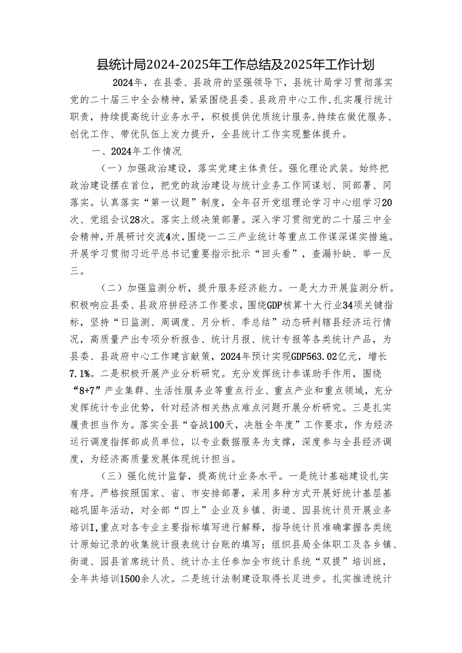 县统计局20242025年工作总结及2025年工作计划.docx_第1页