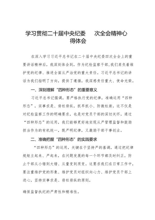八篇2025年学习二十中央纪委四次全会重要精神的心得体会.docx