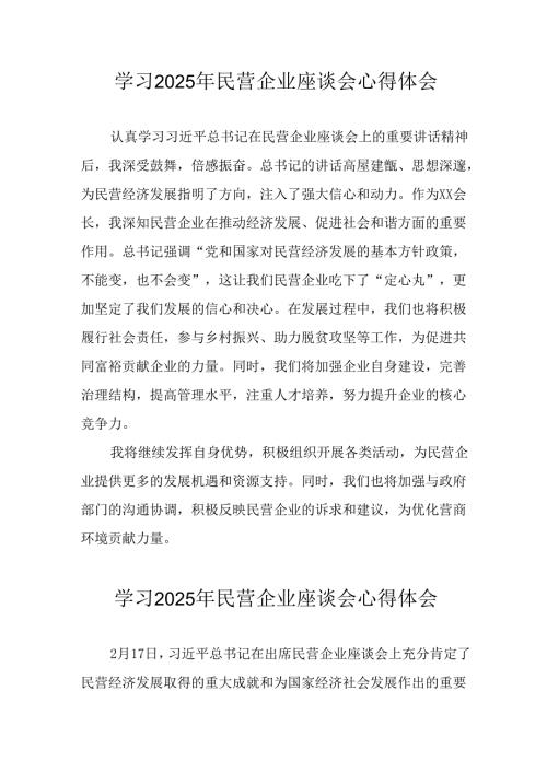 民营企业2025年学习《民营企业座谈会》个人心得感悟 （6份）72.docx