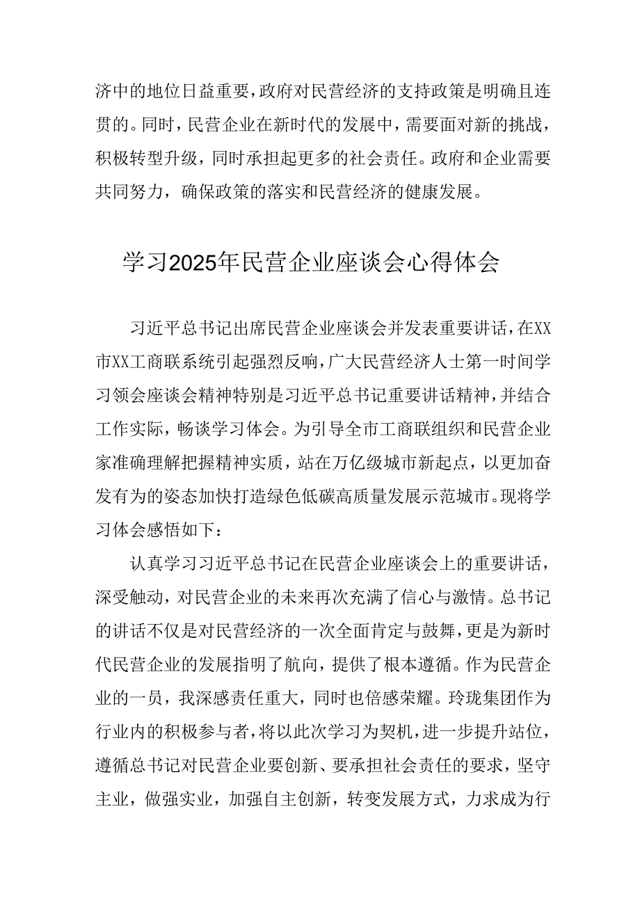 民营企业2025年学习《民营企业座谈会》个人心得感悟 （6份）77.docx_第3页