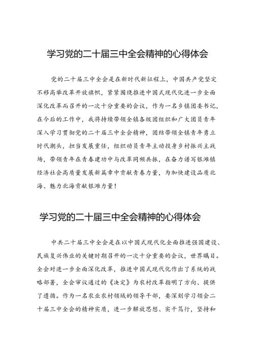 党员学习党的二十三中全会精神的心得感悟样本42篇.docx
