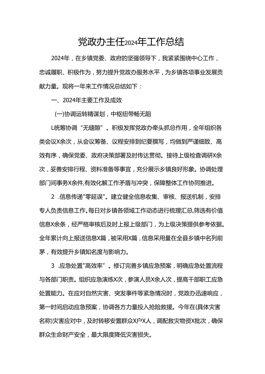 党政办主任2024年工作总结.docx_第1页