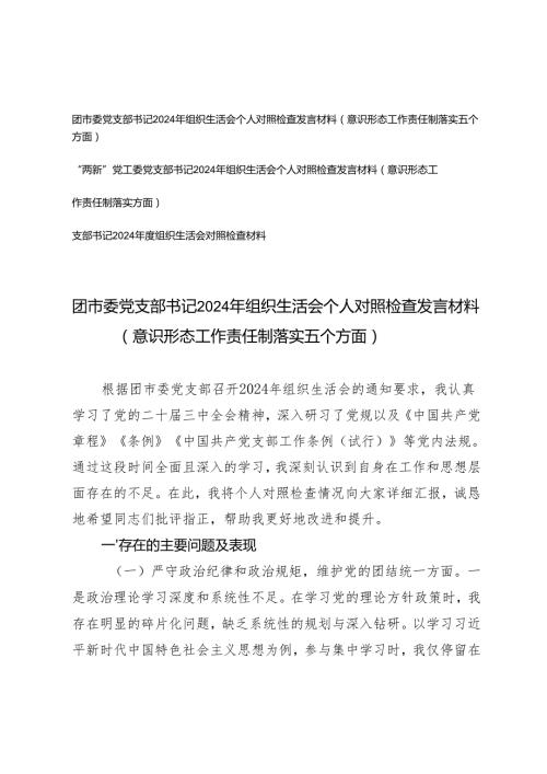 团市委党支部书记、“两新”党工委党支部书记2025年组织生活会个人对照检查发言材料（意识形态工作责任制落实四个带头五个方面）.docx