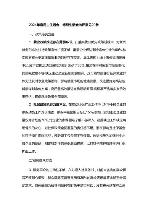 2024民主生活会、组织生活会批评意见20条.docx