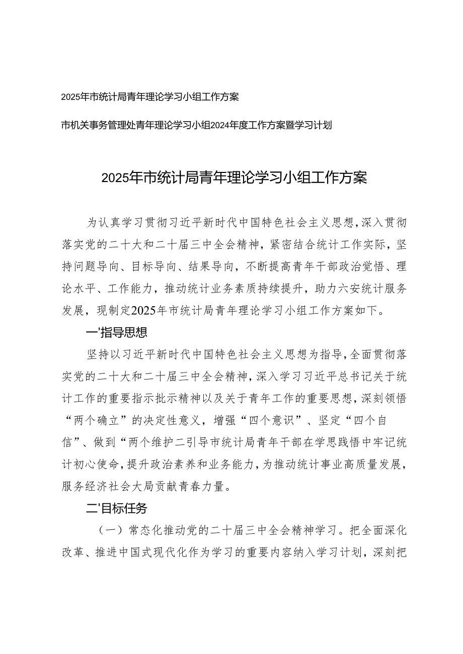 2025年市统计局青年理论学习小组工作方案+理论学习小组2024工作方案暨学习计划.docx_第1页