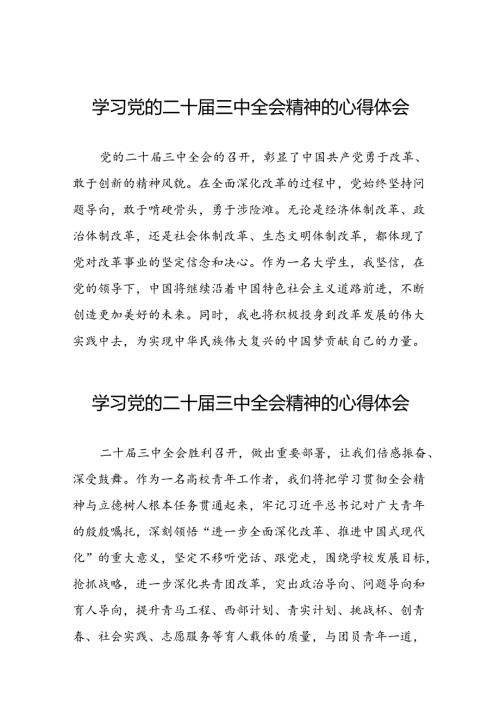 学习党的二十三中全会精神心得体会发言材料36篇.docx