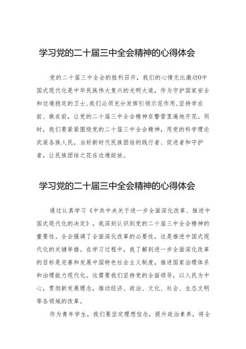 关于2024年党的二十三中全会精神的学习体会36篇.docx