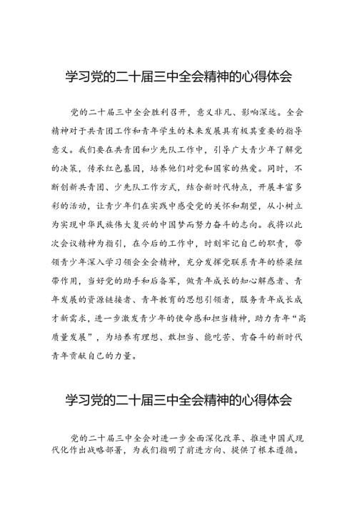 关于二十三中全会精神的心得体会合集28篇.docx
