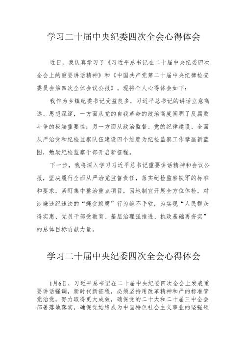 学习《二十中央纪委四次全会》个人心得体会 （合计17份）.docx
