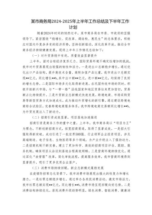 某市商务局20242025年上半年工作总结及下半年工作计划.docx